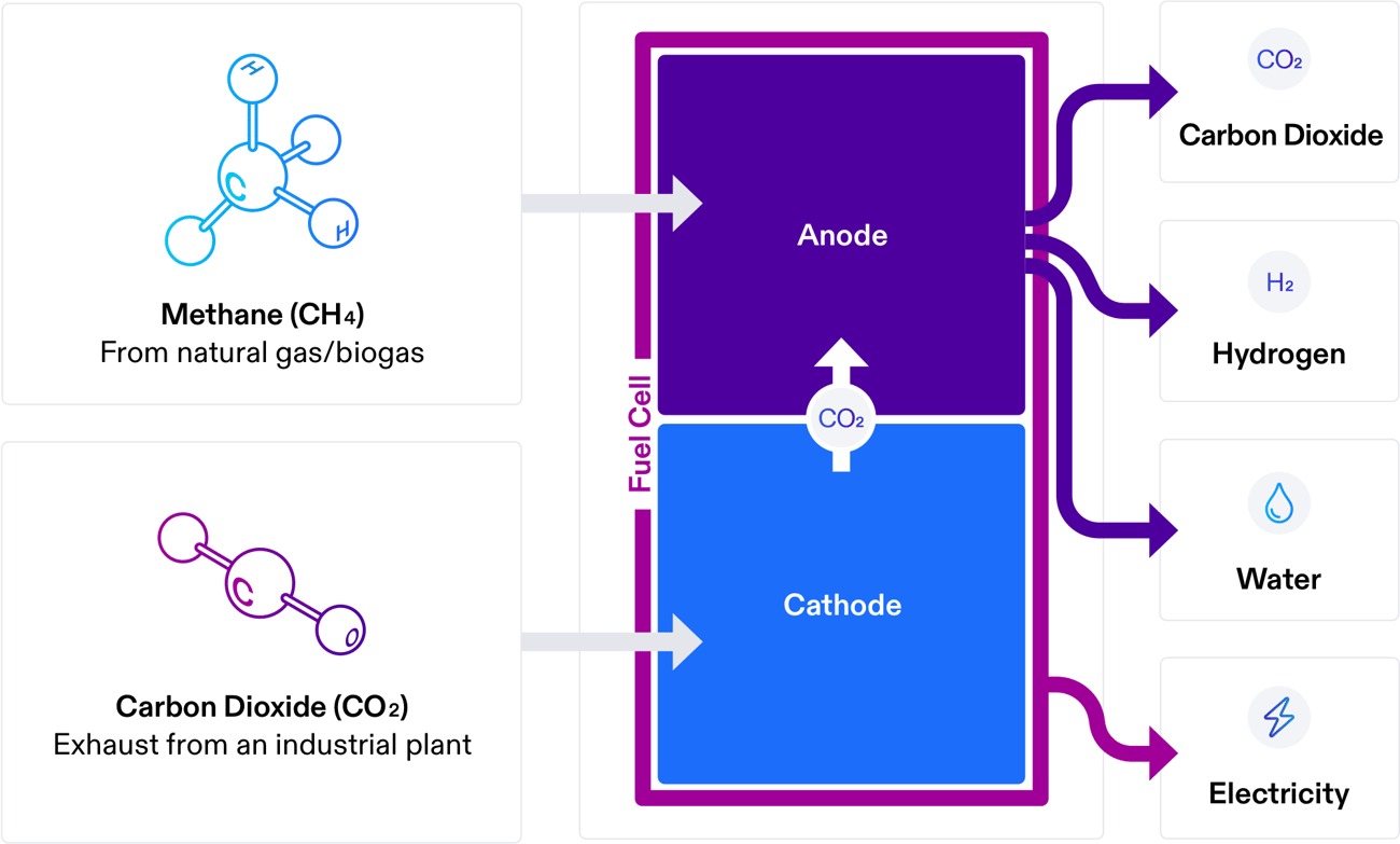 Fuel cells can help food and beverage manufacturers