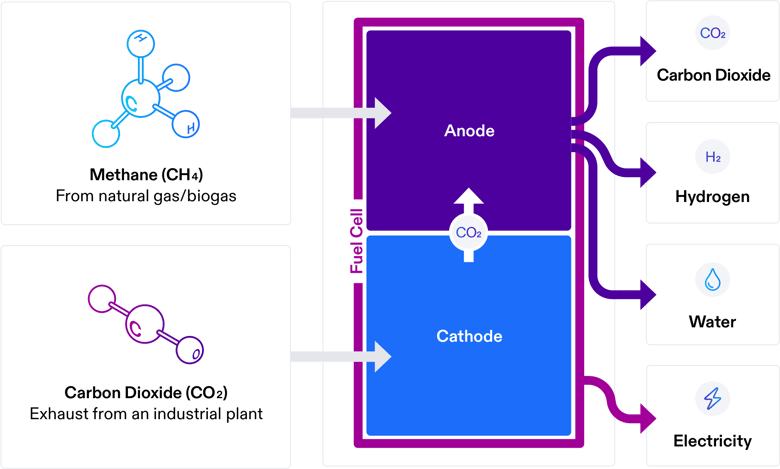 Fuel cells can help food and beverage manufacturers
