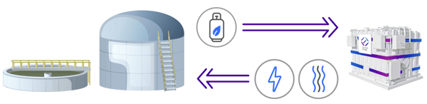 biogas-fuel-cell-plant-1