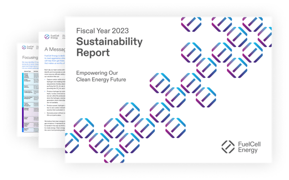 fce-sustainability-report-cover-2