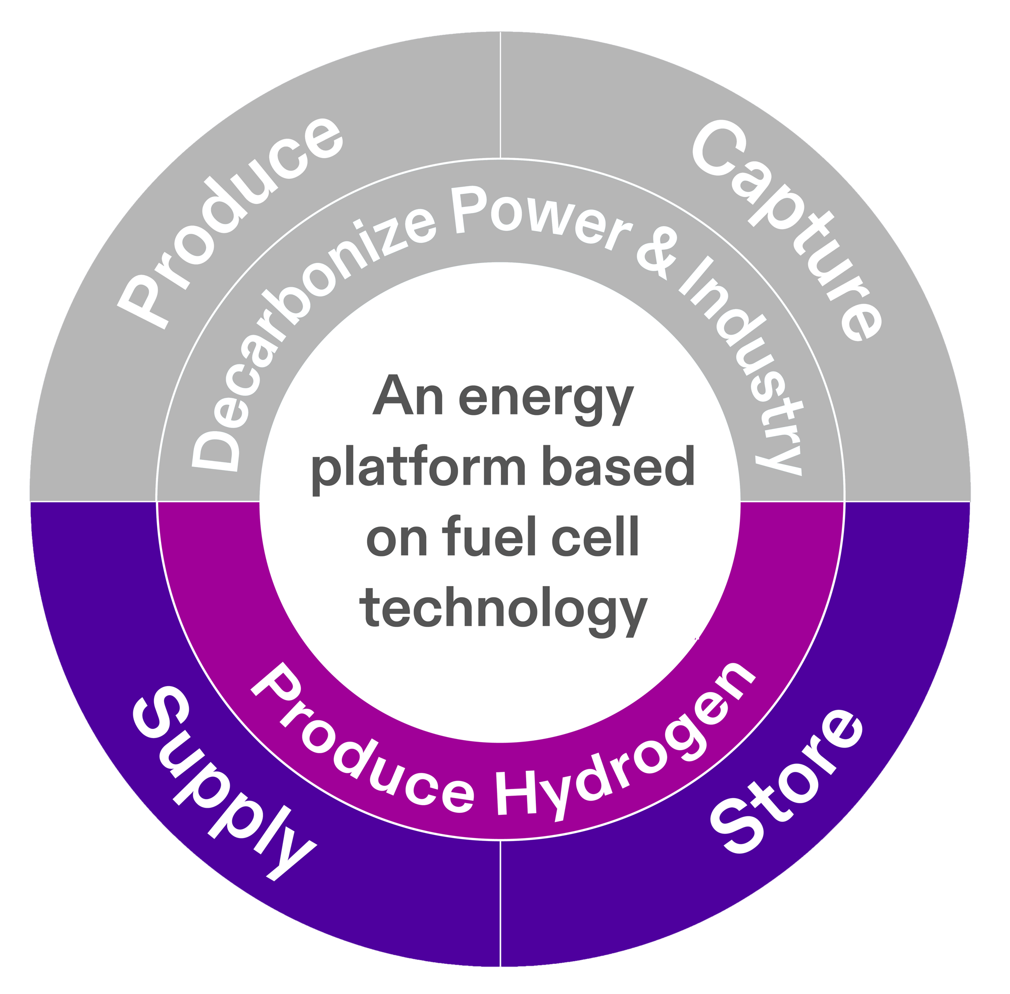 hydrogen-fuel-cell-electrolyzer-platform