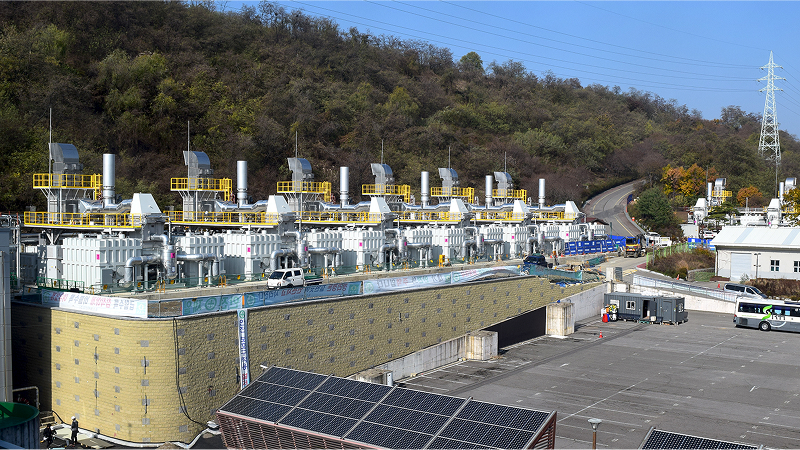 noel-green-installation