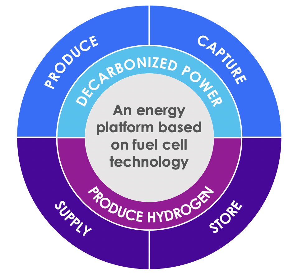 The-Platform-for-A-Path-to-Net Zero
