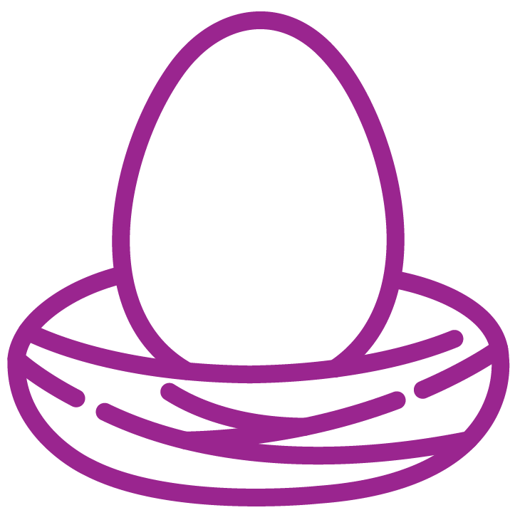 egg in a nest icon