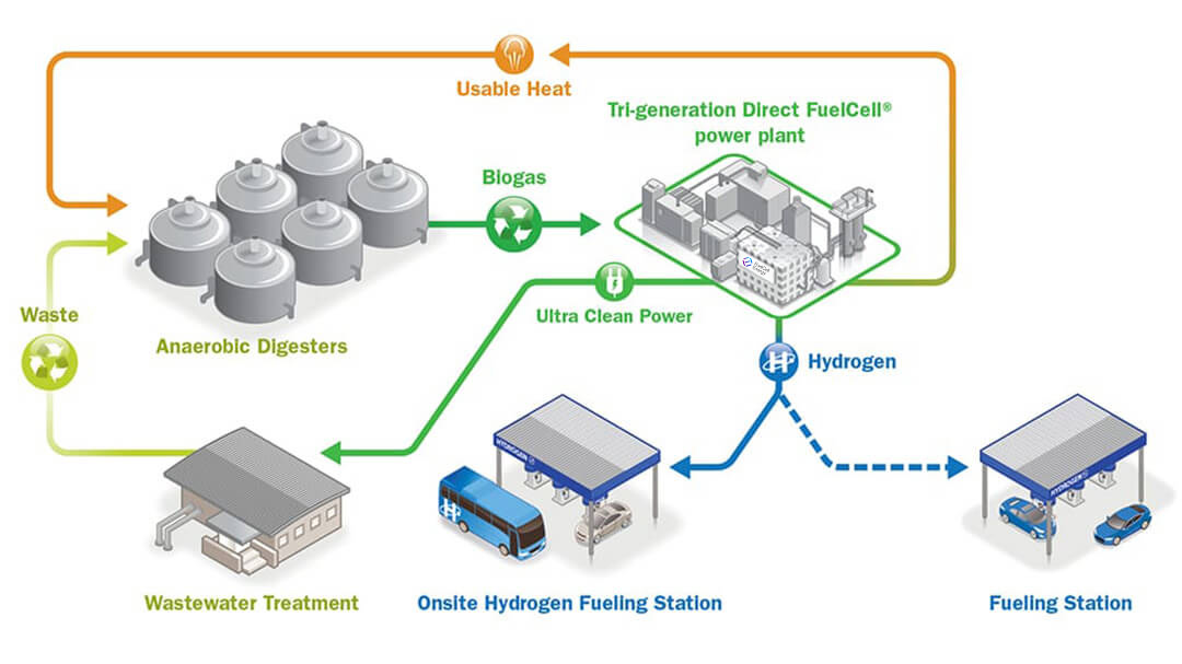tri-generation-carbon-system-fuelcell-energy